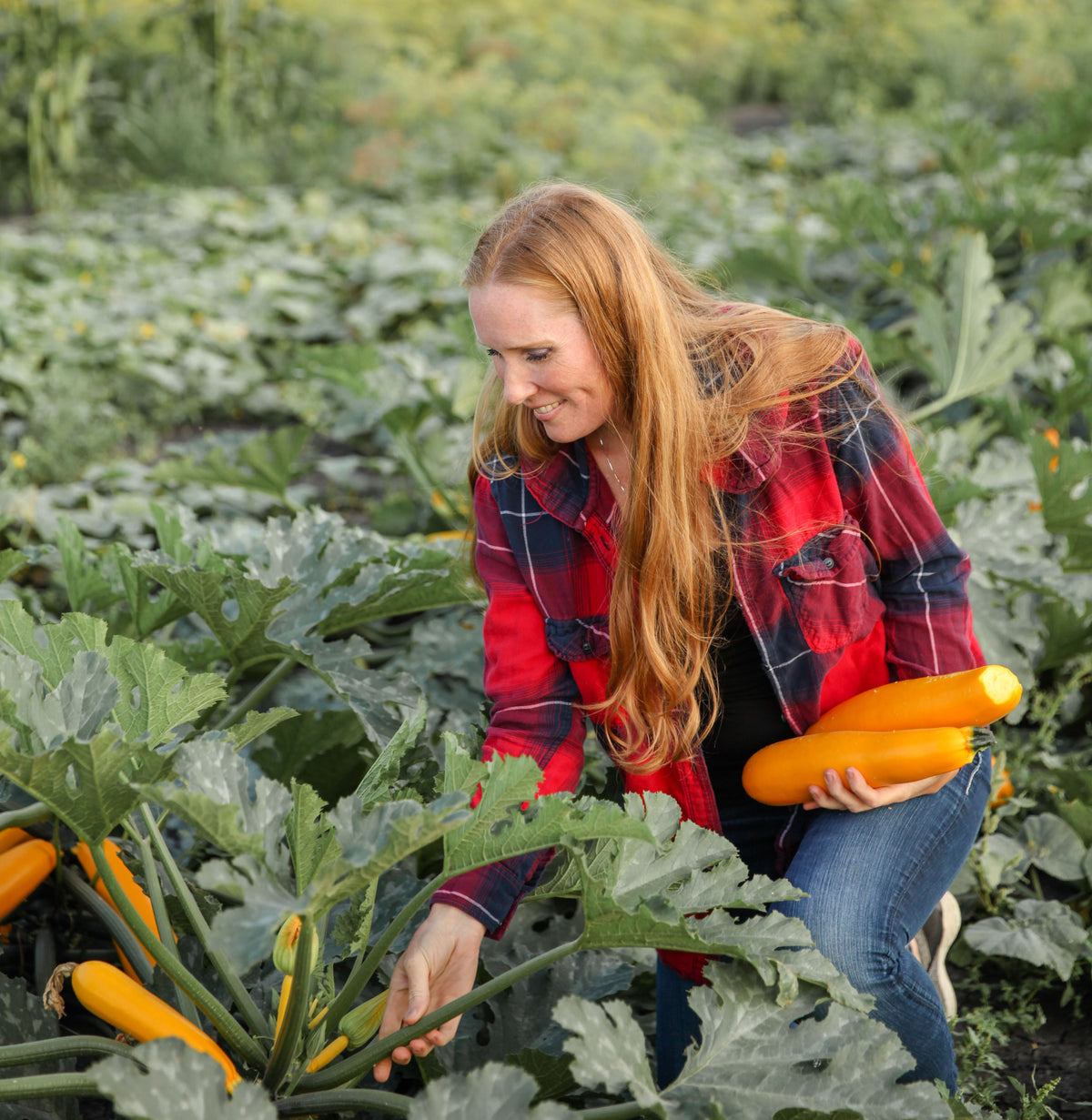 Gard'en My Heart - The Beautiful Hard Work of Harvest.