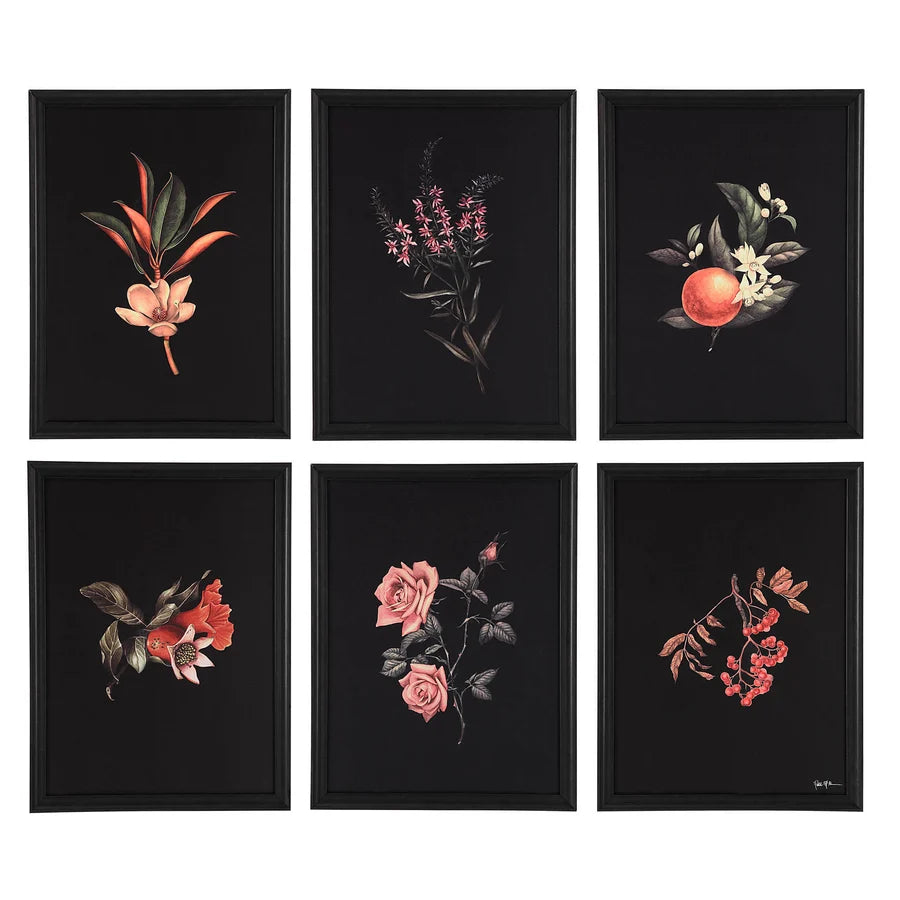 Wallflower Designed by Patrick St Germain 6 Piece 18 x 24 Each
