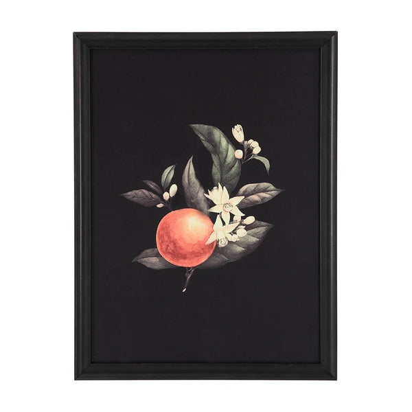 Wallflower Designed by Patrick St Germain 6 Piece 18 x 24 Each